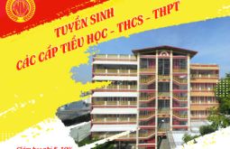 Trường liên cấp Nam Việt tuyển sinh năm học 2022-2023 toàn quốc | Tập Đoàn giáo dục quốc tế Nam Việt